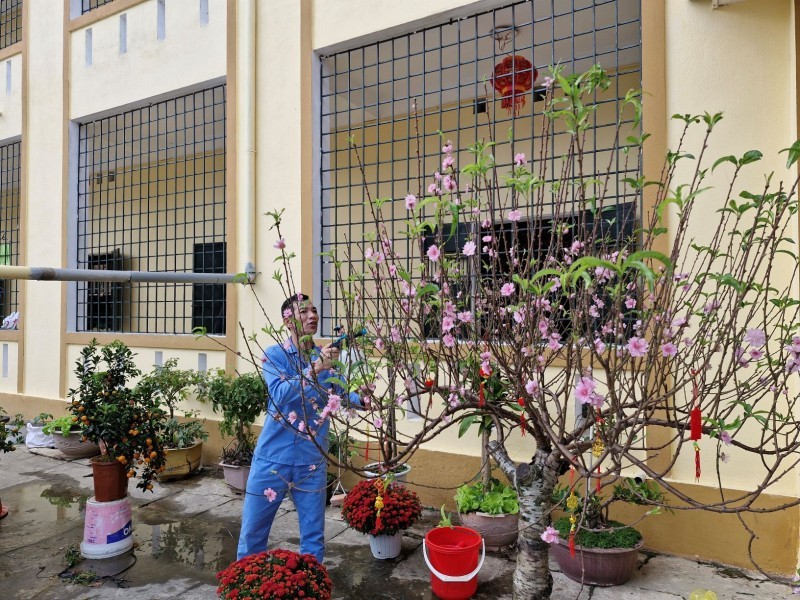 Khuôn viên cơ sở được vệ sinh sạch sẽ, những cây đào được chăm sóc cẩn thận đang khoe sắc. Khuôn viên cơ sở được vệ sinh sạch sẽ, những cây đào được chăm sóc cẩn thận đang khoe sắc.