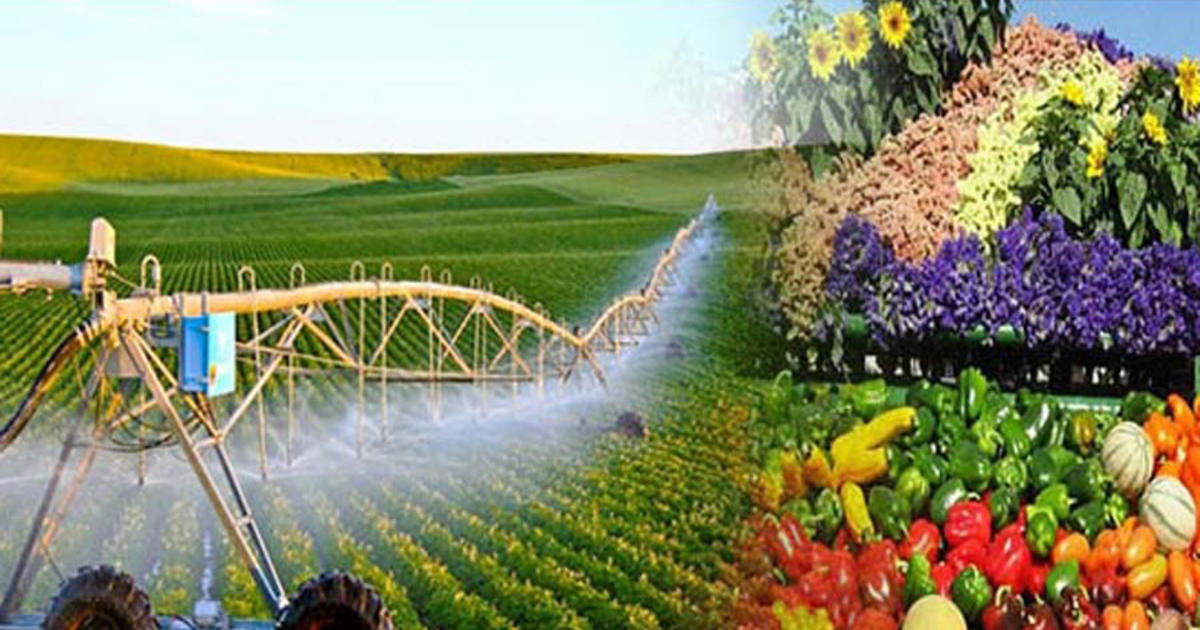 Nông nghiệp Việt Nam hướng tới mục tiêu Top 15 thế giới vào năm 2030