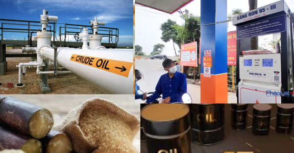 Giá dầu thô tăng trở lại