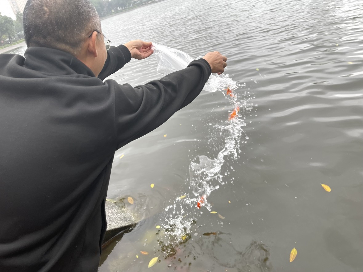 Người Hà Nội mặc áo mưa thả cá chép sớm trong ngày mưa lạnh