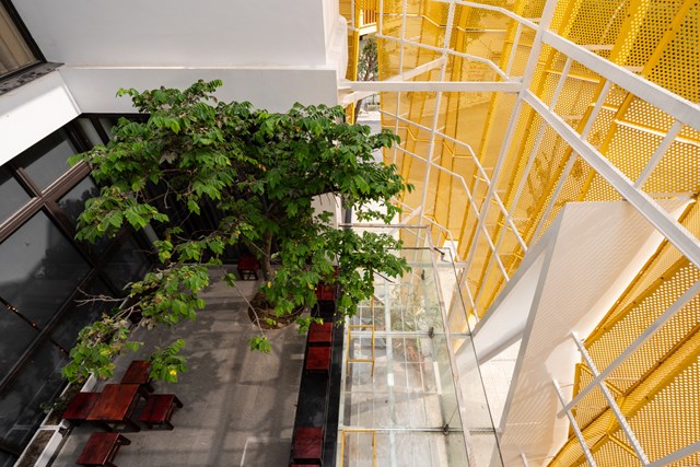 D&ugrave; t&aacute;ch biệt về kh&ocirc;ng gian sử dụng, độc lập về lối đi nhưng cả c&ocirc;ng tr&igrave;nh vẫn c&oacute; sự kết nối, giao thoa bởi kh&ocirc;ng gian chung l&agrave; khoảng kh&ocirc;ng v&agrave; s&acirc;n vườn.&nbsp; &nbsp;