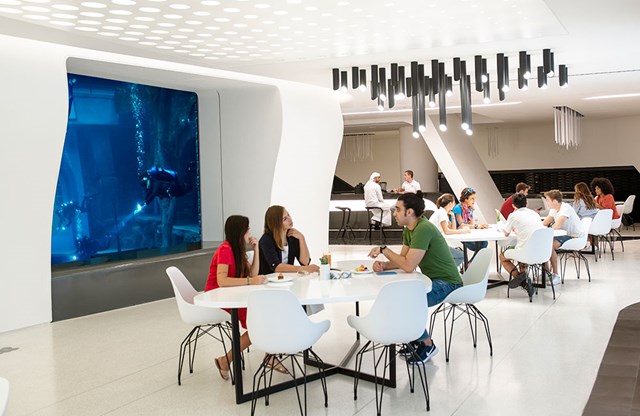 Khu phức hợp lặn c&ograve;n c&oacute; một nh&agrave; h&agrave;ng được trang bị c&aacute;c cửa sổ lớn v&agrave; m&agrave;n h&igrave;nh TV, cho ph&eacute;p gia đ&igrave;nh v&agrave; bạn b&egrave; kh&ocirc;ng lặn bể bơi c&oacute; thể thư gi&atilde;n trong khu vực n&agrave;y.