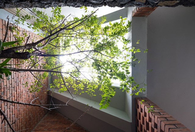 T&igrave;nh cờ, anh t&igrave;m thấy một khu đất rộng với nhiều c&acirc;y to, nằm tr&ecirc;n một sườn đồi thoai thoải c&ugrave;ng những mỏm đ&aacute; nhỏ tr&ecirc;n mặt đất.&nbsp;