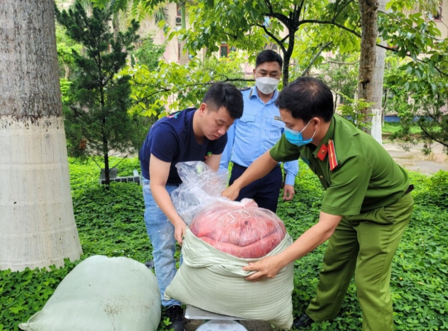 Tang vật bị lực lượng cơ quan chức năng thu giữ