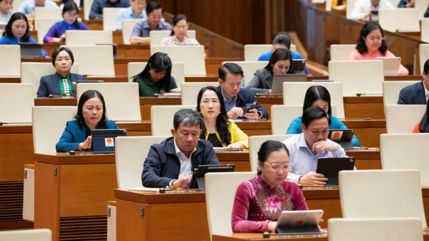 Mở lối để phụ nữ khuyết tật tự tin tham chính