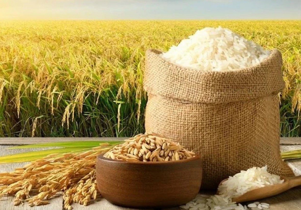 Nông sản xuất khẩu gỡ khó đầu năm 2026 Nông sản xuất khẩu gỡ khó đầu năm 2026