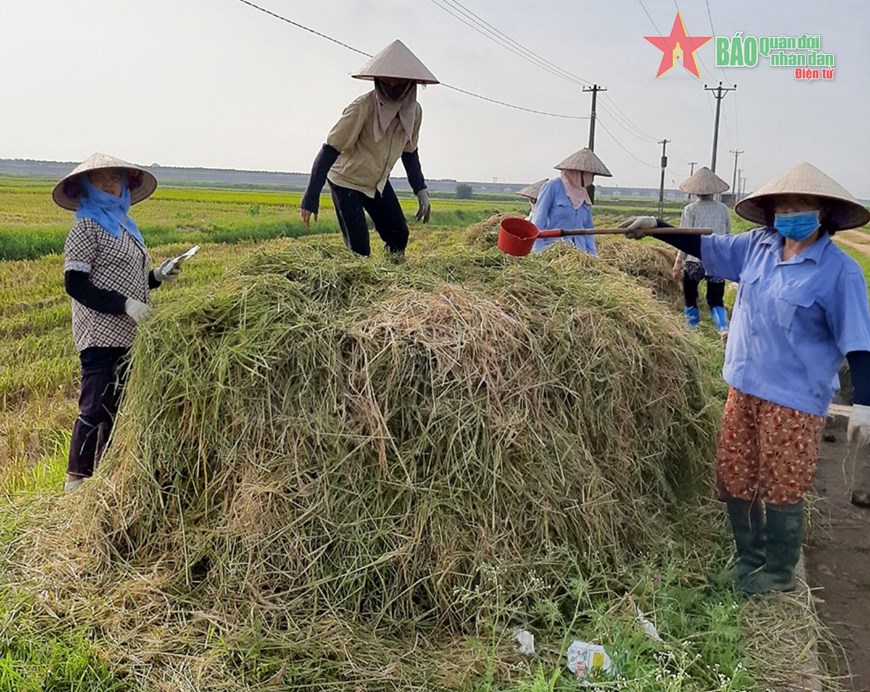 “Mỏ vàng” ngành nông nghiệp?