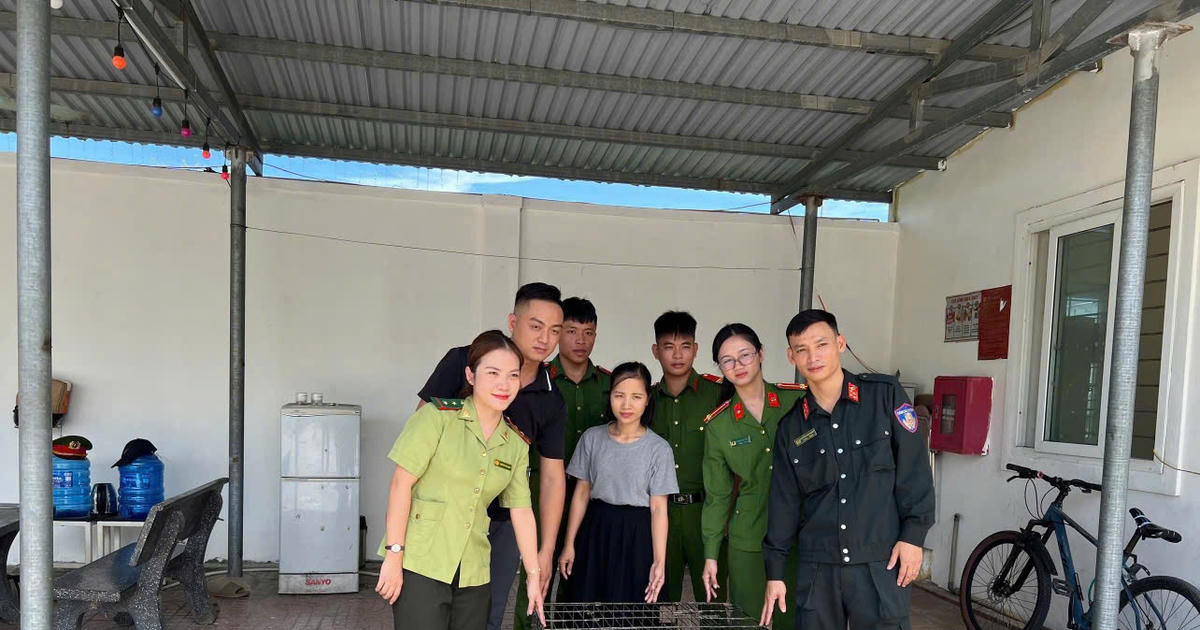Cảnh sát Cơ động Nghệ An phát hiện, bàn giao cá thể tê tê quý hiếm