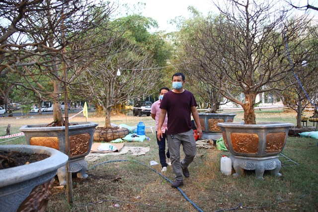 Những cây mai bạc tỷ tại chợ hoa xuân TP HCM - Ảnh 8 Những cây mai bạc tỷ tại chợ hoa xuân TP HCM - Ảnh 8