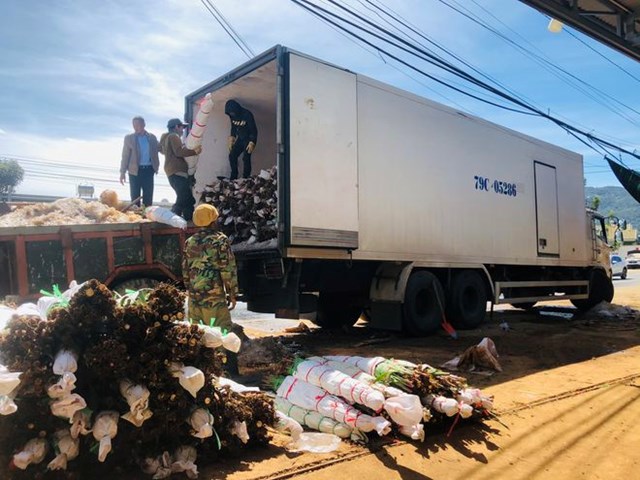 Xe đ&ocirc;ng lạnh từ Kh&aacute;nh H&ograve;a l&ecirc;n Đ&agrave; Lạt vận chuyển hoa đi c&aacute;c tỉnh, th&agrave;nh kịp đ&oacute;n Tết T&acirc;n Sửu 2021