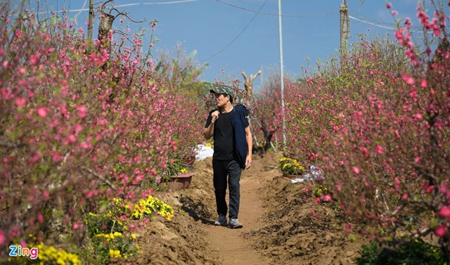 Sau nửa tiếng dạo vườn đ&agrave;o th&igrave; anh L&yacute; Ho&agrave;i Ngọc (Thuỵ Khu&ecirc;, Ba Đ&igrave;nh) chọn được một c&agrave;nh trị gi&aacute; 400.000 đồng. &ldquo;Năm nay hoa đ&agrave;o nở rất đẹp, 29 th&aacute;ng Chạp m&agrave; vườn cũng c&ograve;n nhiều hoa hơn so với năm ngo&aacute;i, bằng giờ năm ngo&aacute;i l&agrave; thưa thớt hoa rồi&rdquo;, anh Ngọc chia sẻ.