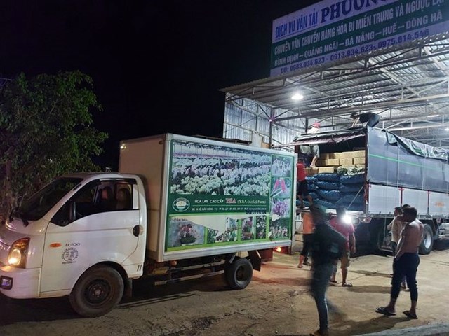 Hy vọng v&agrave;i ng&agrave;y c&ograve;n lại thị trường hoa tết Đ&agrave; Lạt sẽ tr&ocirc;i chảy hơn