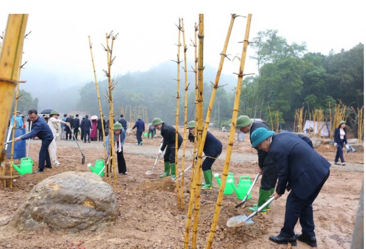 Khơi dậy hào khí Thánh Gióng qua hàng tre đằng ngà tại chân núi Sóc