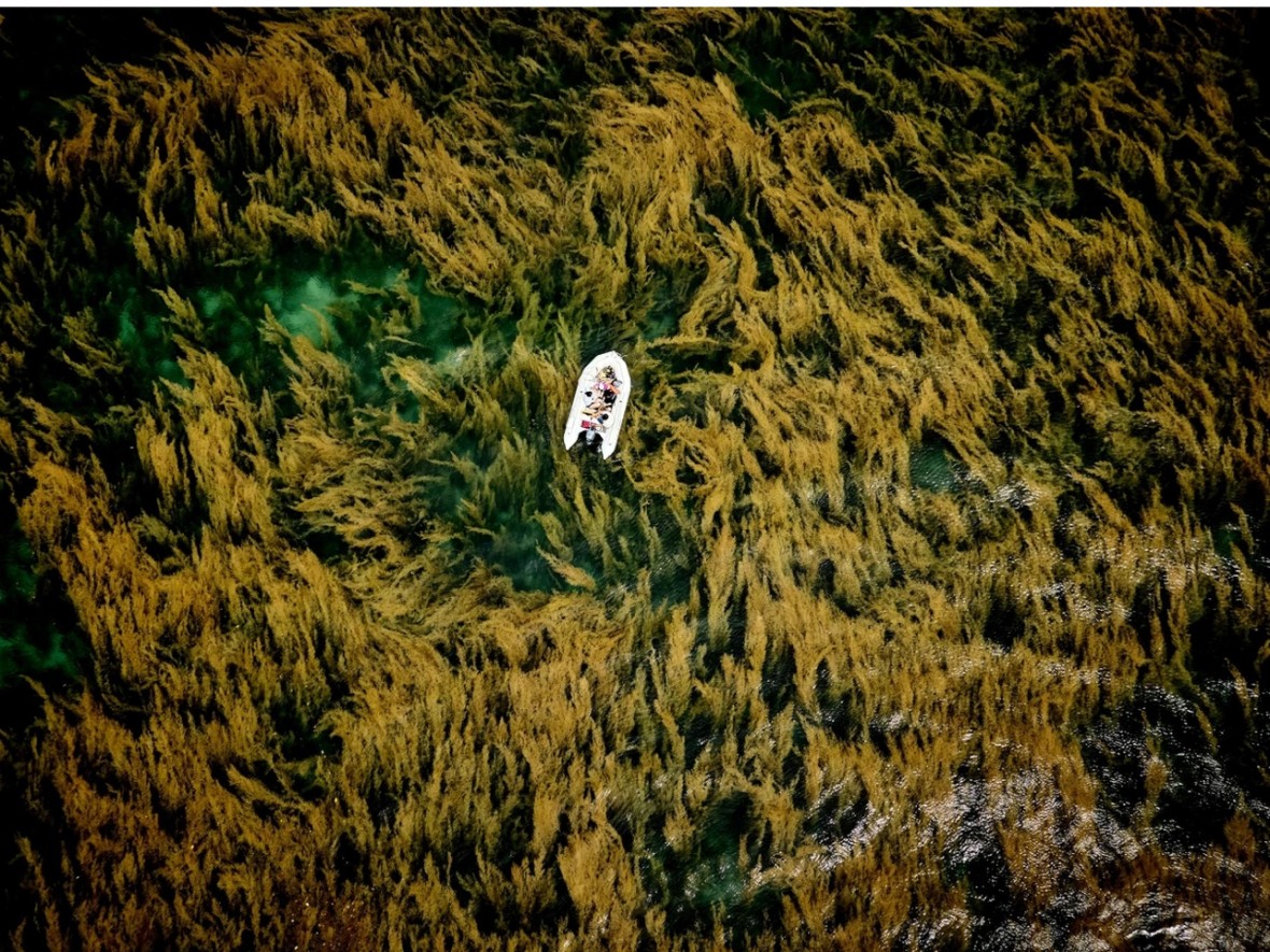 Tác phẩm chụp tại Côn Đảo giành giải Nhất tại Sony World Photography Awards 2026