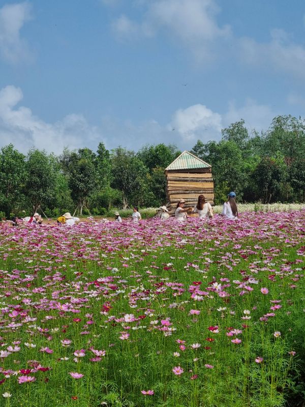 650742055 122123647719085431 2269336942231065354 n